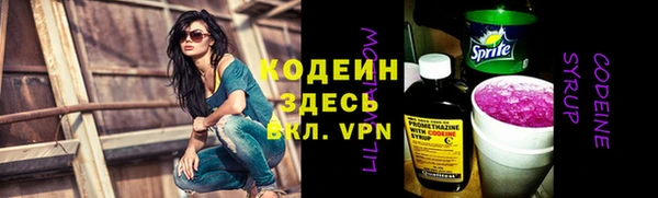 спиды Богданович