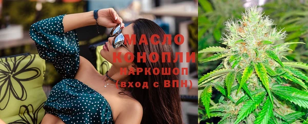 молекула духа Белоозёрский